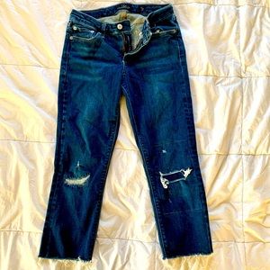 Lucky Brand Lolita Skinny Ankle Jeans Size 6/28